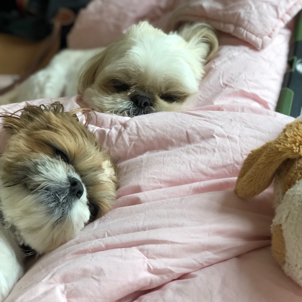 Meet your Posher, Anna